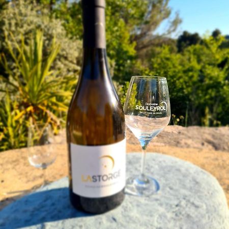 Entre Ventoux Et Luberon, Appartement Dans Maison. Malemort-du-Comtat 外观 照片
