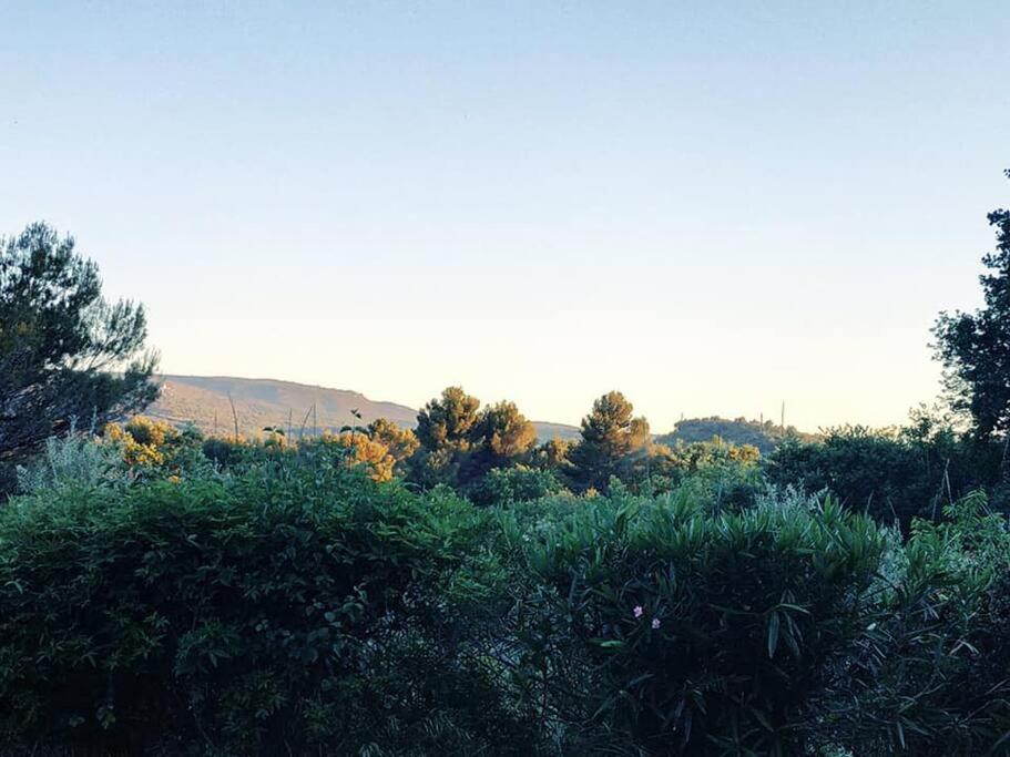 Entre Ventoux Et Luberon, Appartement Dans Maison. Malemort-du-Comtat 外观 照片