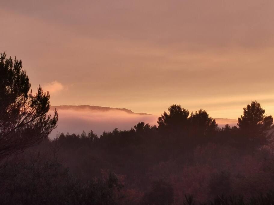 Entre Ventoux Et Luberon, Appartement Dans Maison. Malemort-du-Comtat 外观 照片