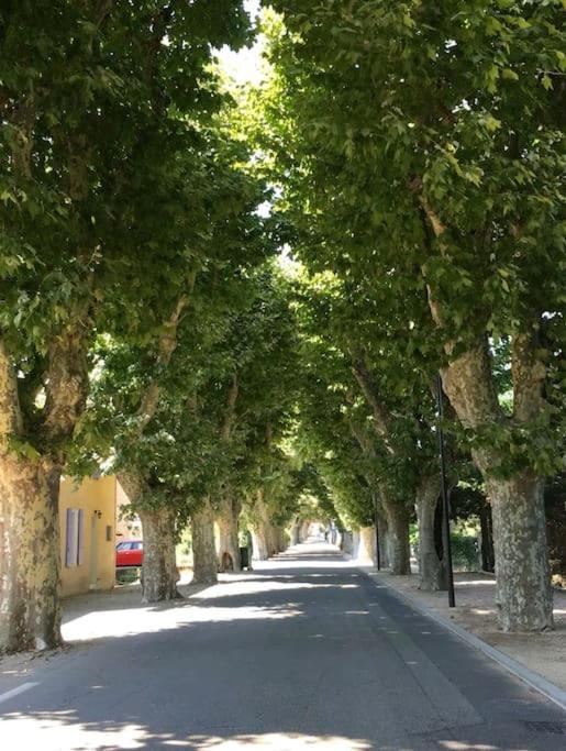 Entre Ventoux Et Luberon, Appartement Dans Maison. Malemort-du-Comtat 外观 照片
